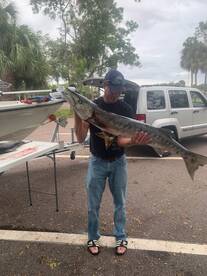 Bay Pines Report Photo 1