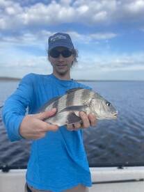 Palm Coast Report Photo 1