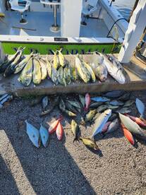 Dania Beach Report Photo 1