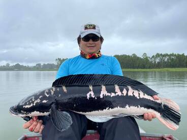 Bangkok Report Photo 2