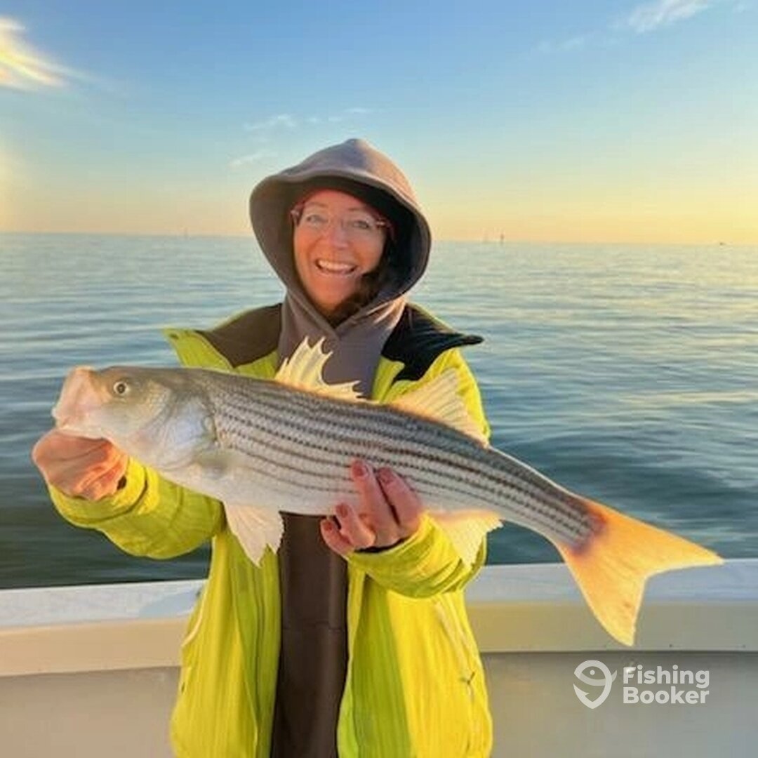 Dameron Report Photo 0