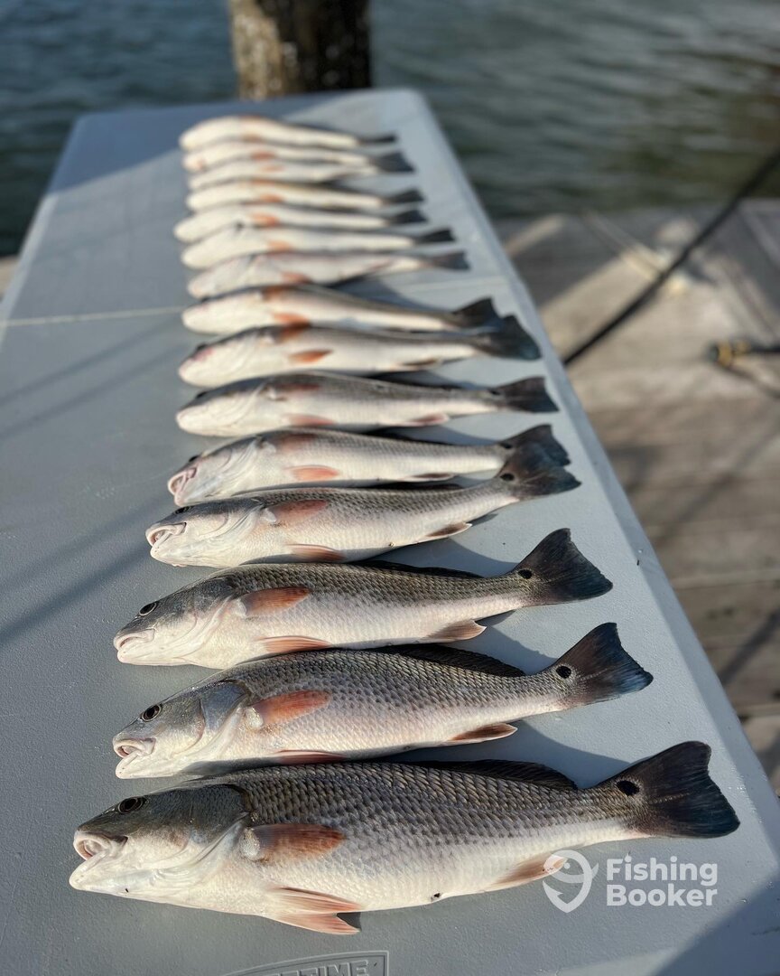 Savannah Report Photo 0