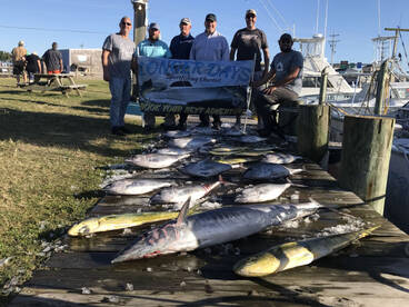 15 October 2022 Fishing Report