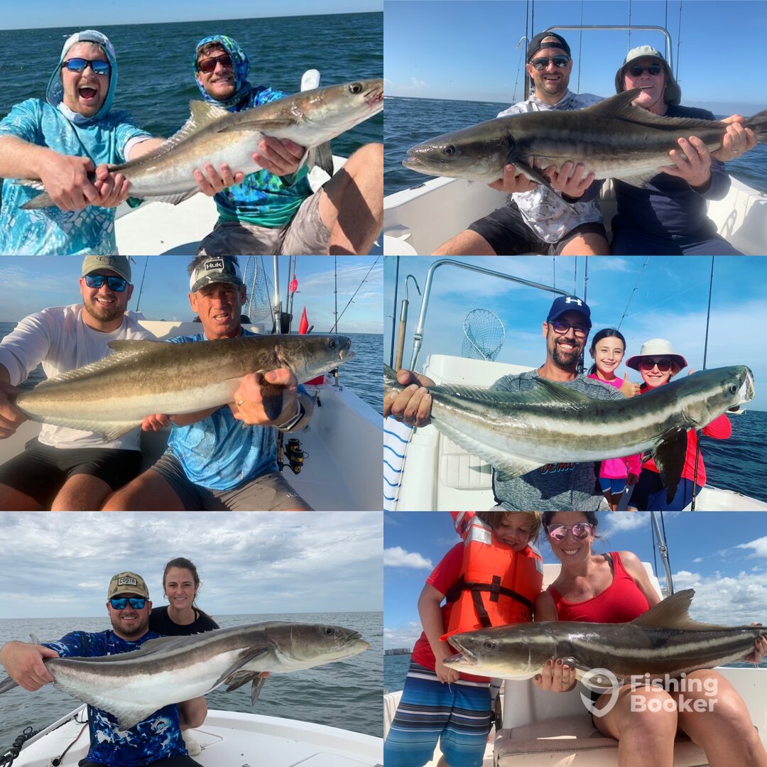 Sarasota Report Photo 0