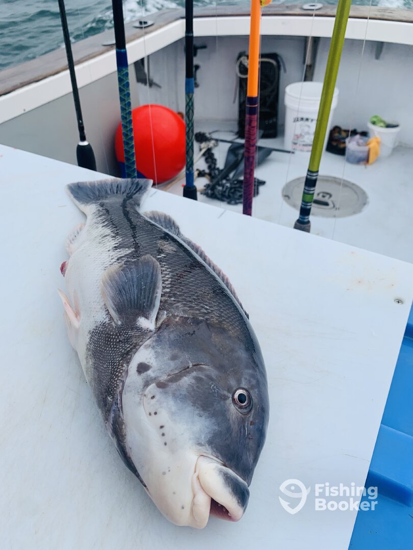 Narragansett Report Photo 0