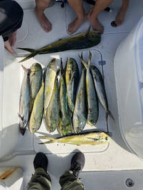 Deerfield Beach Report Photo 2