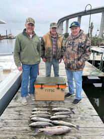 Virginia Beach Report Photo 1