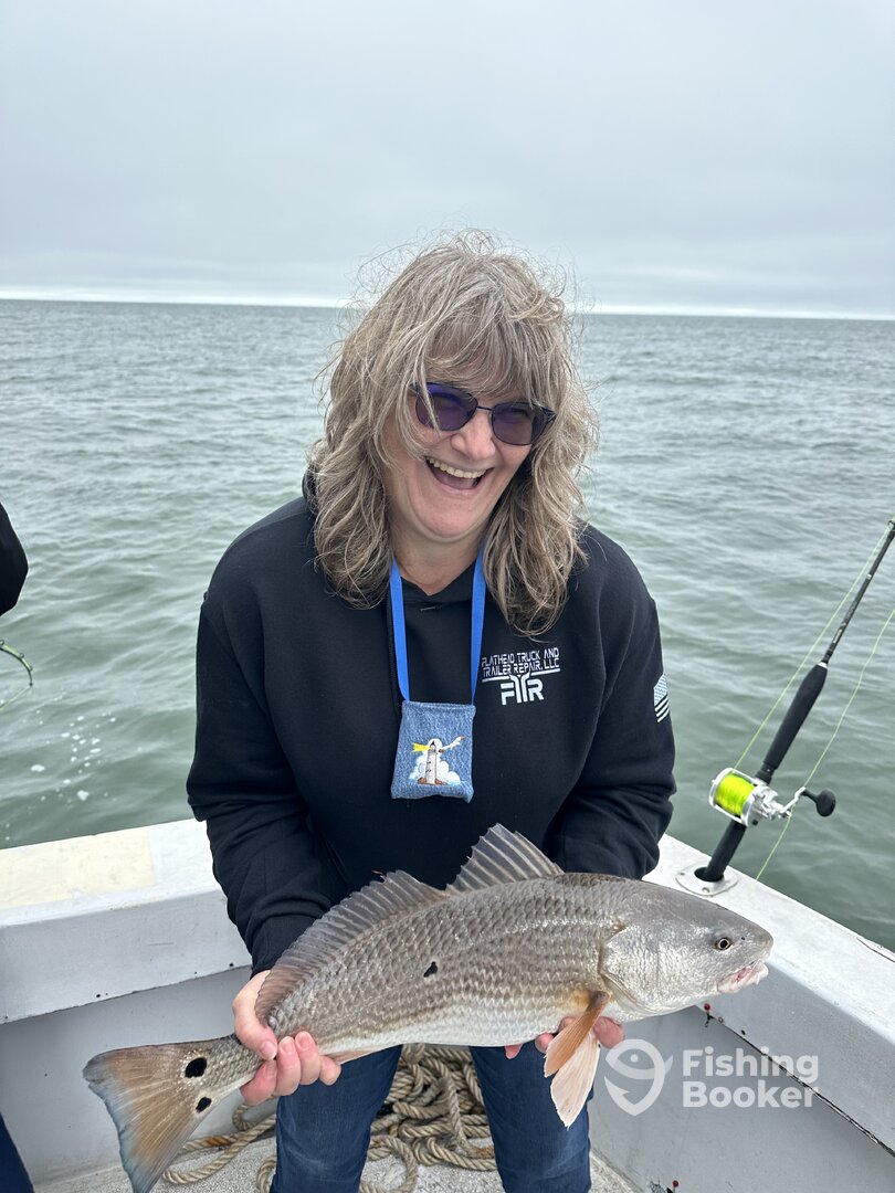 Norfolk Report Photo 0