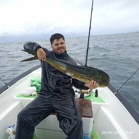 Puerto Jiménez Report Photo 2