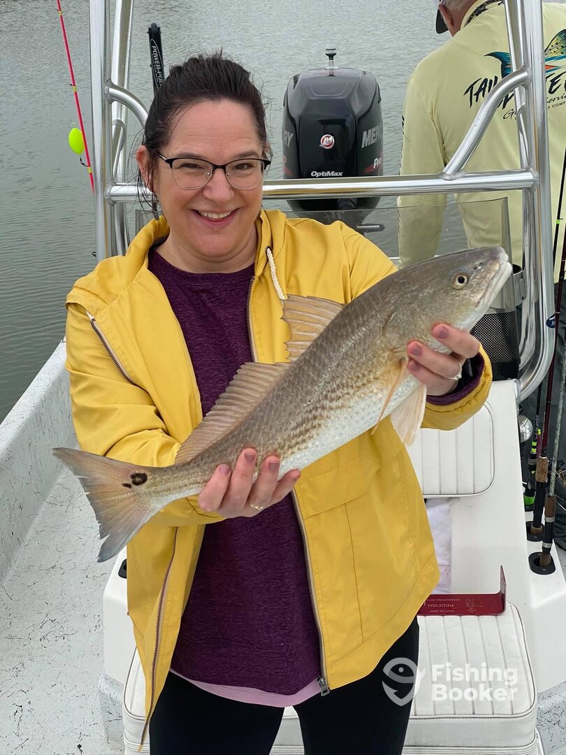 Galveston Report Photo 0