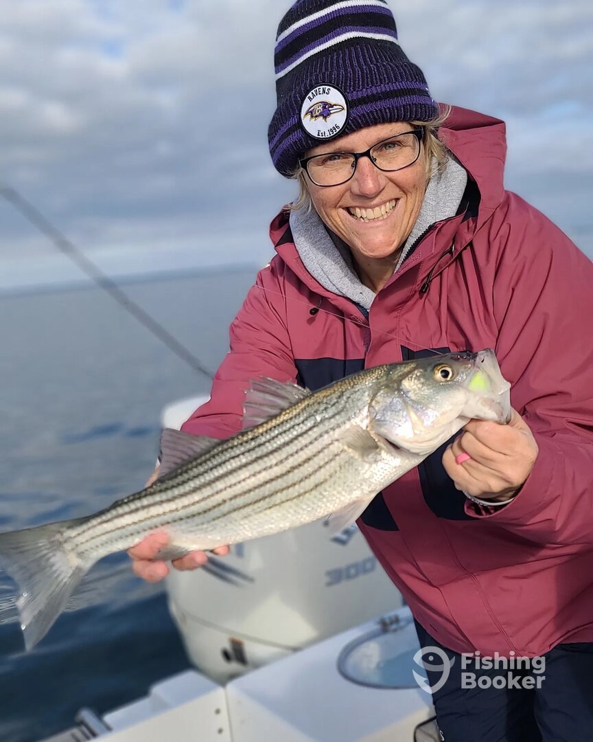 Pasadena Report Photo 0