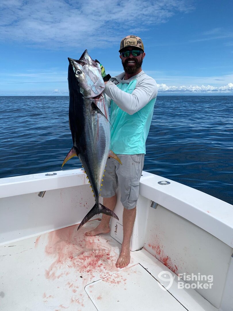 Quepos Report Photo 0