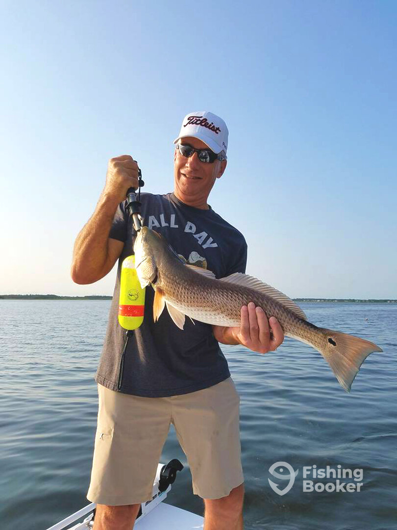 Charleston Report Photo 0