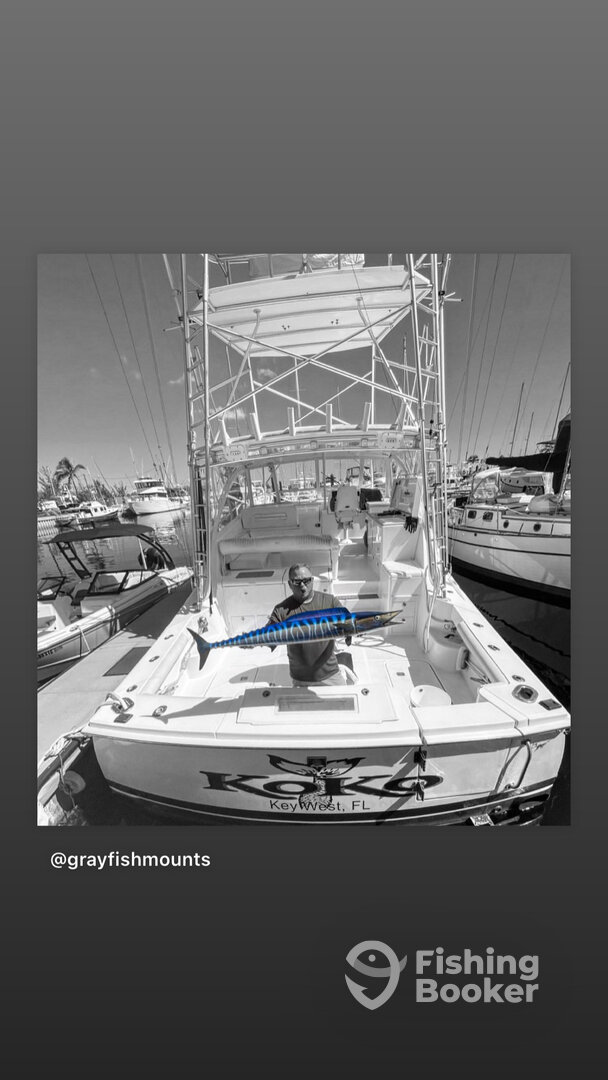 Stock Island Report Photo 0