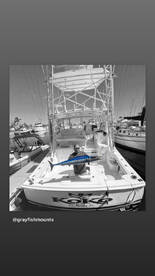 Wahoo season is here! 