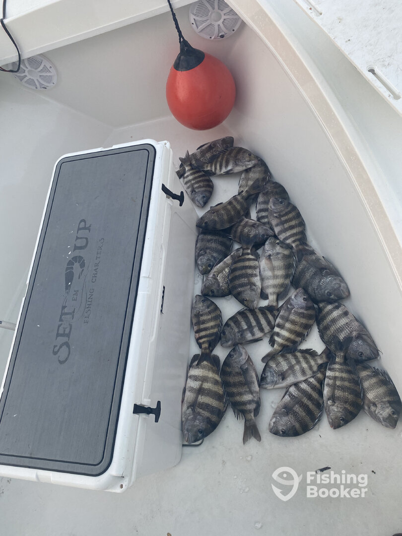 Jacksonville Report Photo 0