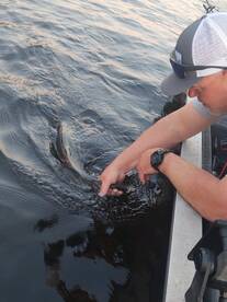 Virginia Beach Report Photo 2