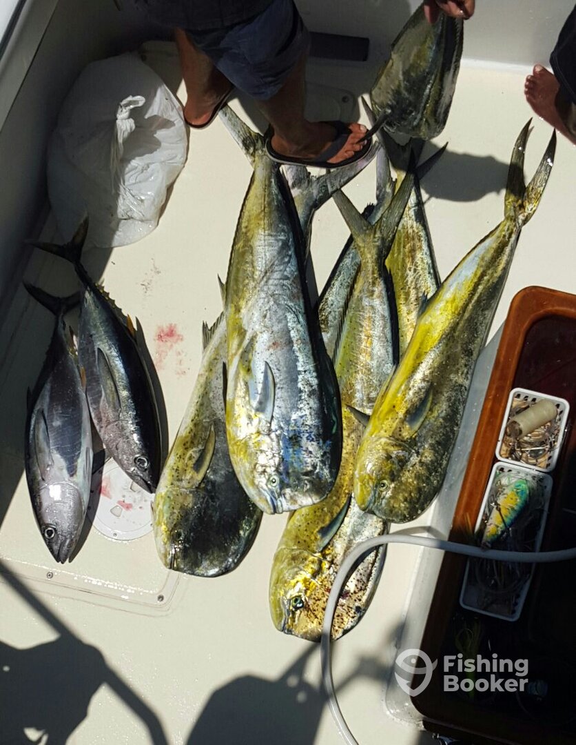 Cabo San Lucas Report Photo 0