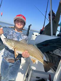 Venice Report Photo 1