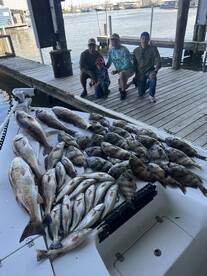 Venice Report Photo 2