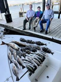 Venice Report Photo 2