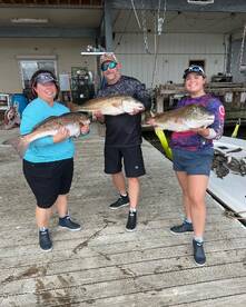 Venice Report Photo 1