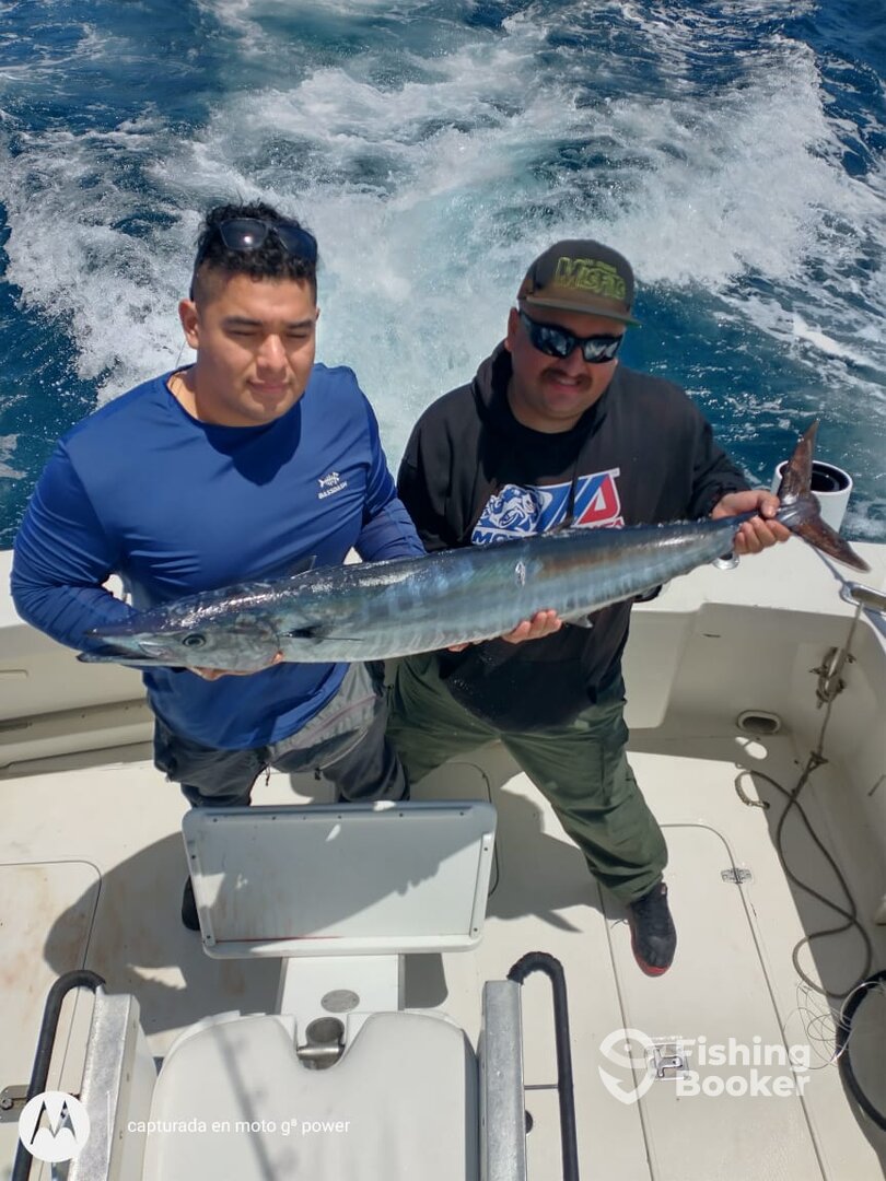 Cabo San Lucas Report Photo 0