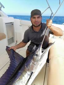 Cabo San Lucas Report Photo 2