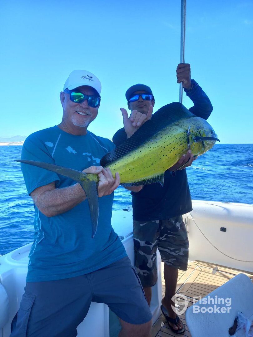 Cabo San Lucas Report Photo 0