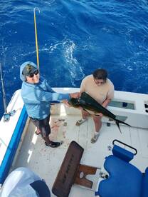 Marlin Marlin Marlin