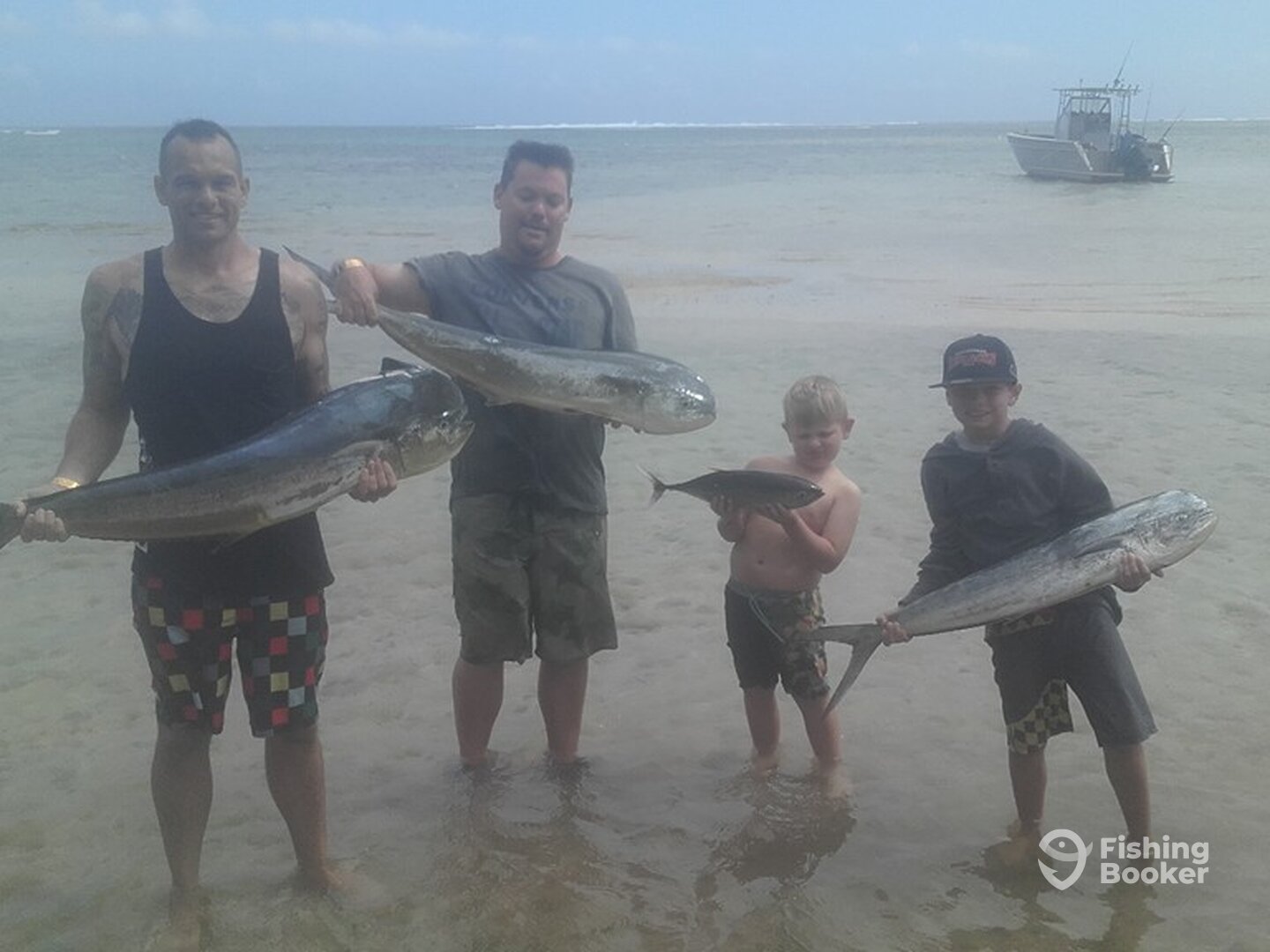 Sigatoka Report Photo 0