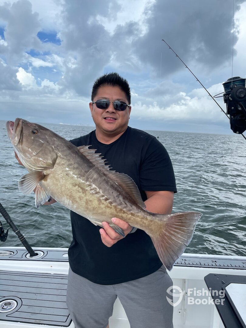 Tampa Report Photo 0