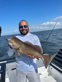 Tampa Report Photo 2