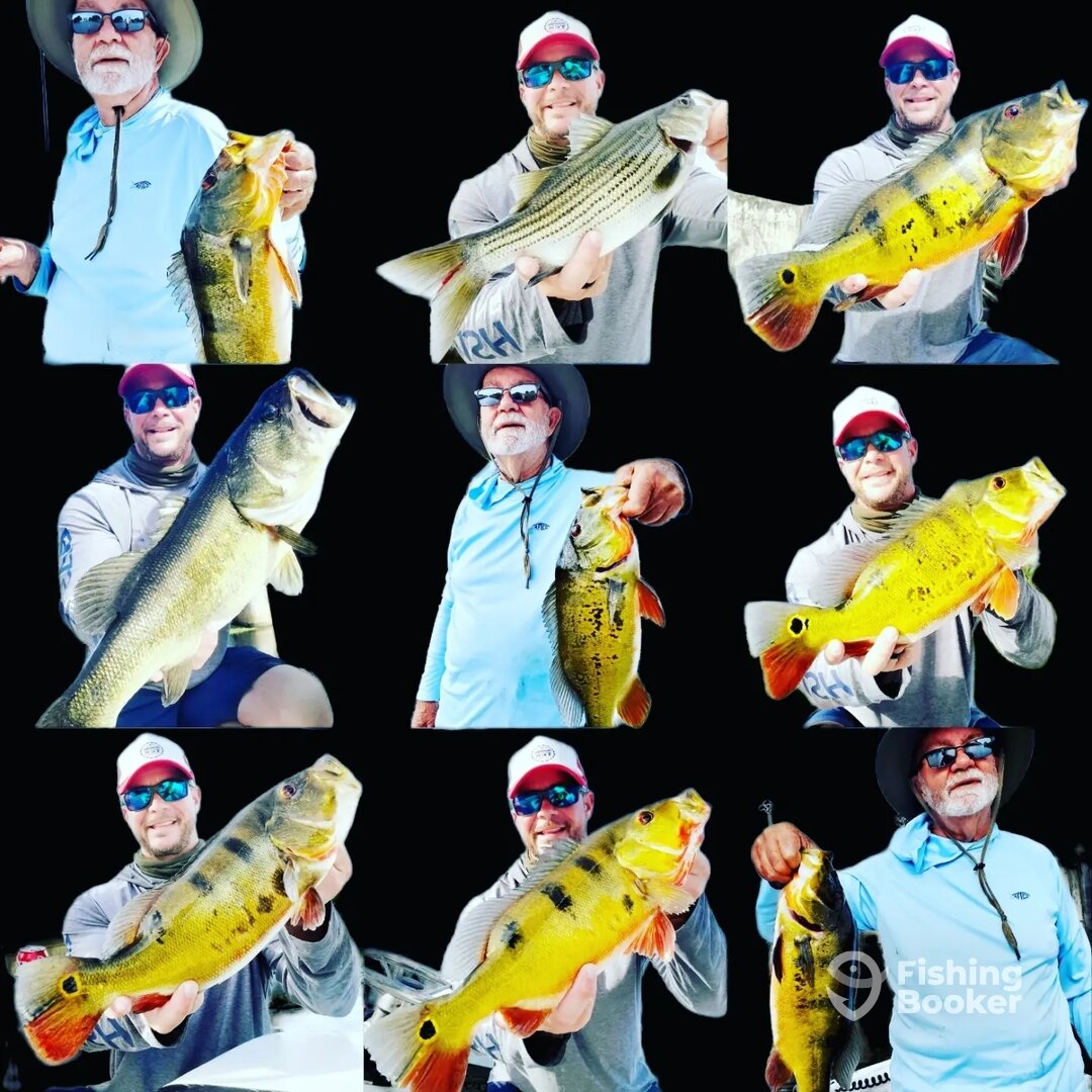 Delray Beach Report Photo 0