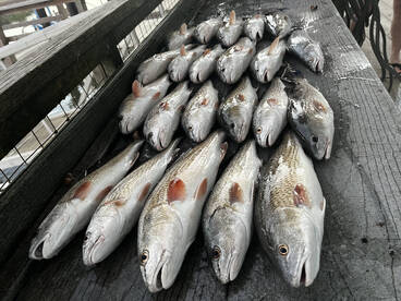 Midway Report Photo 2