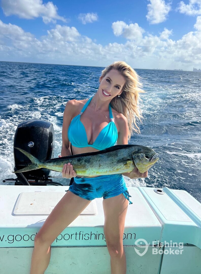 Fort Lauderdale Report Photo 0