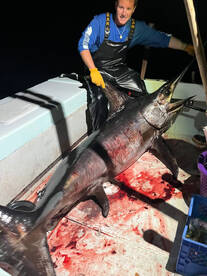 Fort Lauderdale Report Photo 2