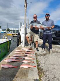 Dania Beach Report Photo 1