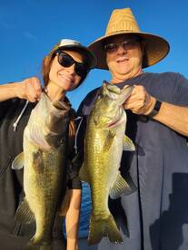 Orlando Report Photo 1