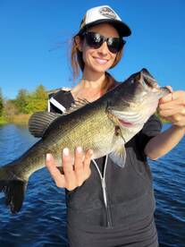 Orlando Report Photo 2