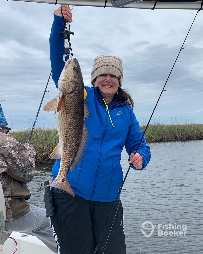 Panacea Report Photo 0