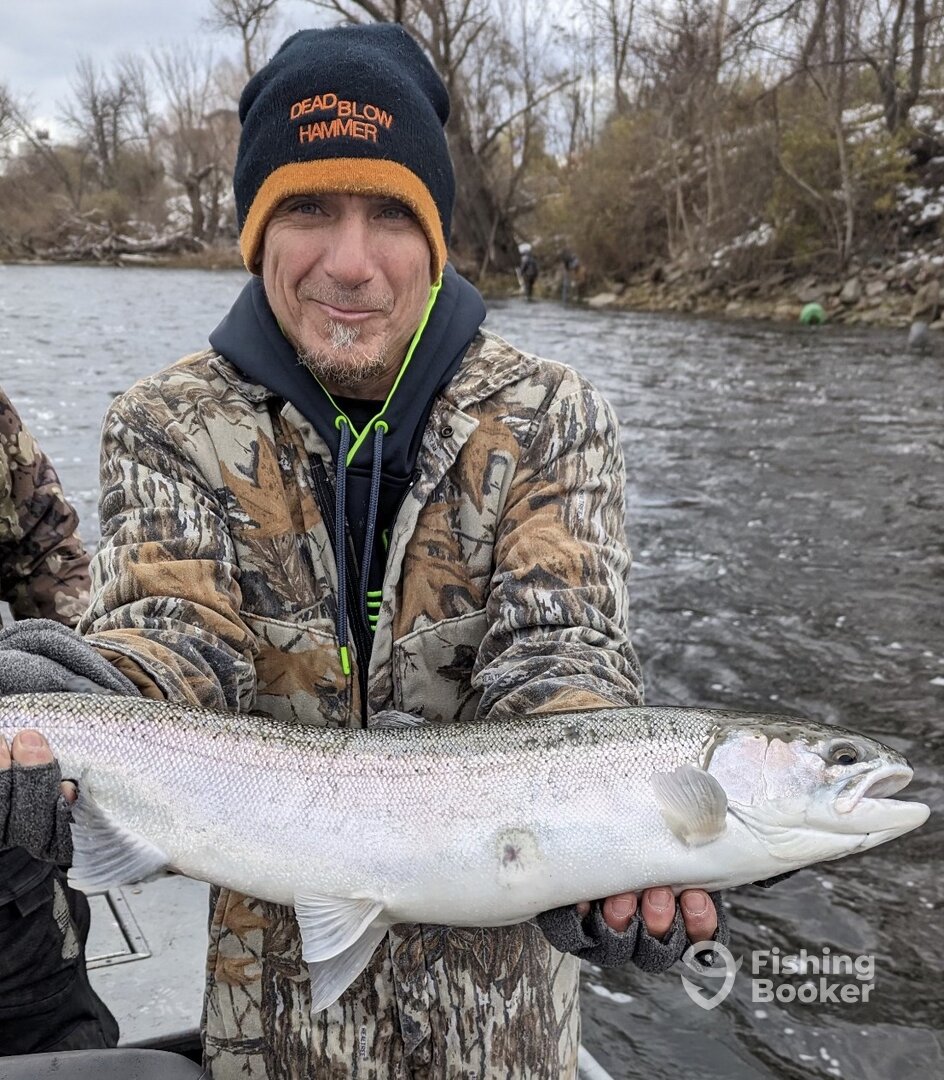 Oswego Report Photo 0