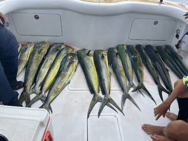 Herradura Report Photo 1