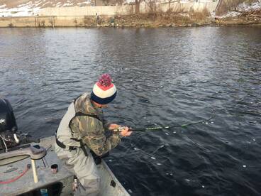 Lots of this going on