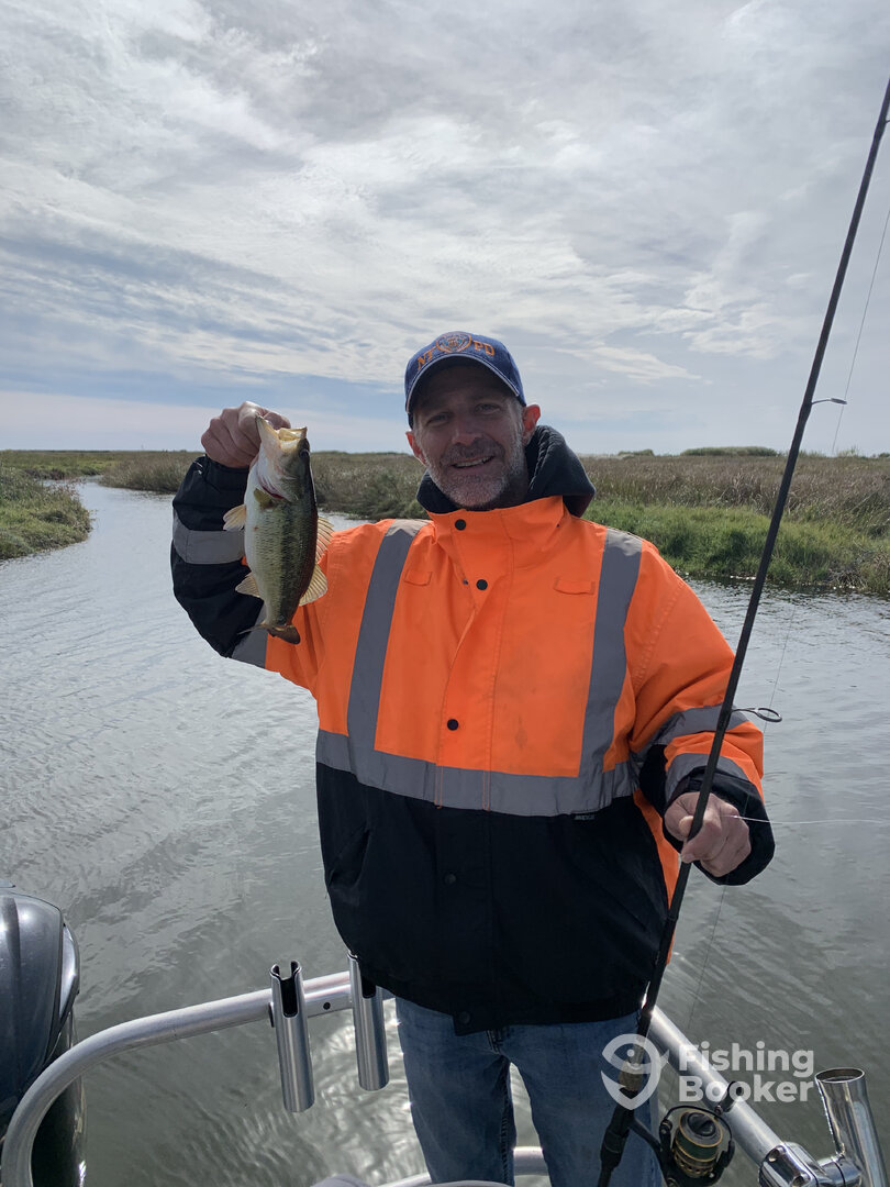 New Orleans Report Photo 0