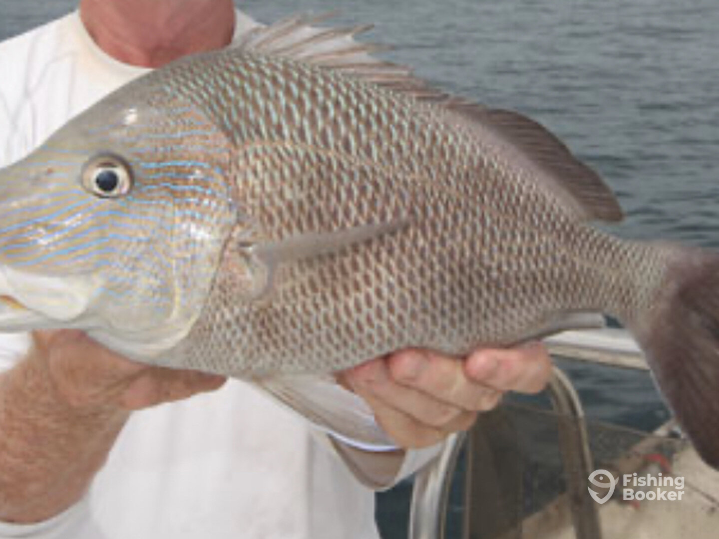 Redington Shores Report Photo 0