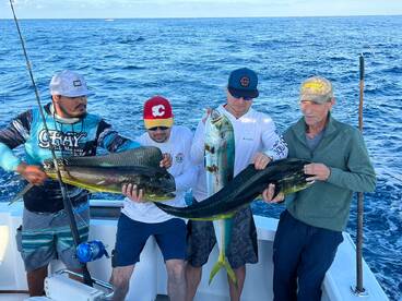 Cabo San Lucas Report Photo 1