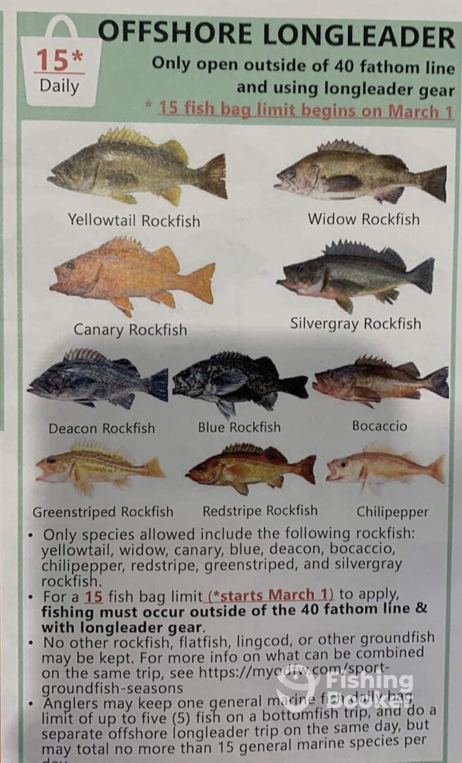 Coos Bay Report Photo 0