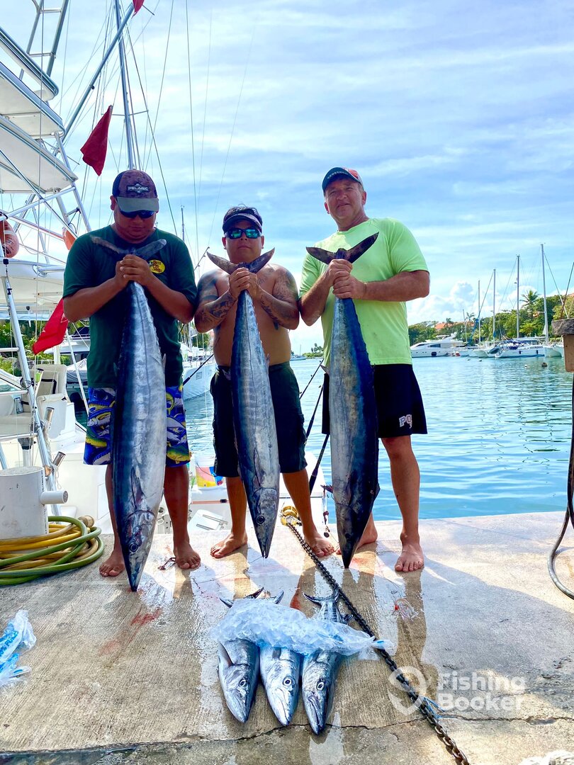 Puerto Aventuras Report Photo 0