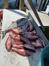 Orange Beach Report Photo 2